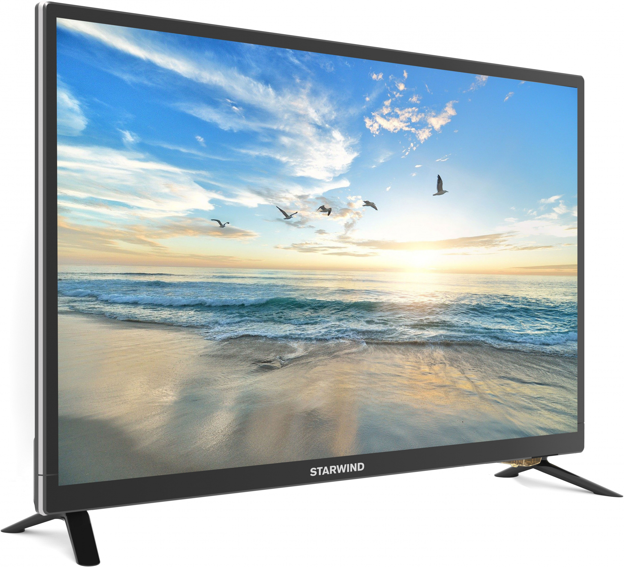 Телевизор Starwind SW-LED24BB201, 24", LED, HD, черный от магазина Старвинд
