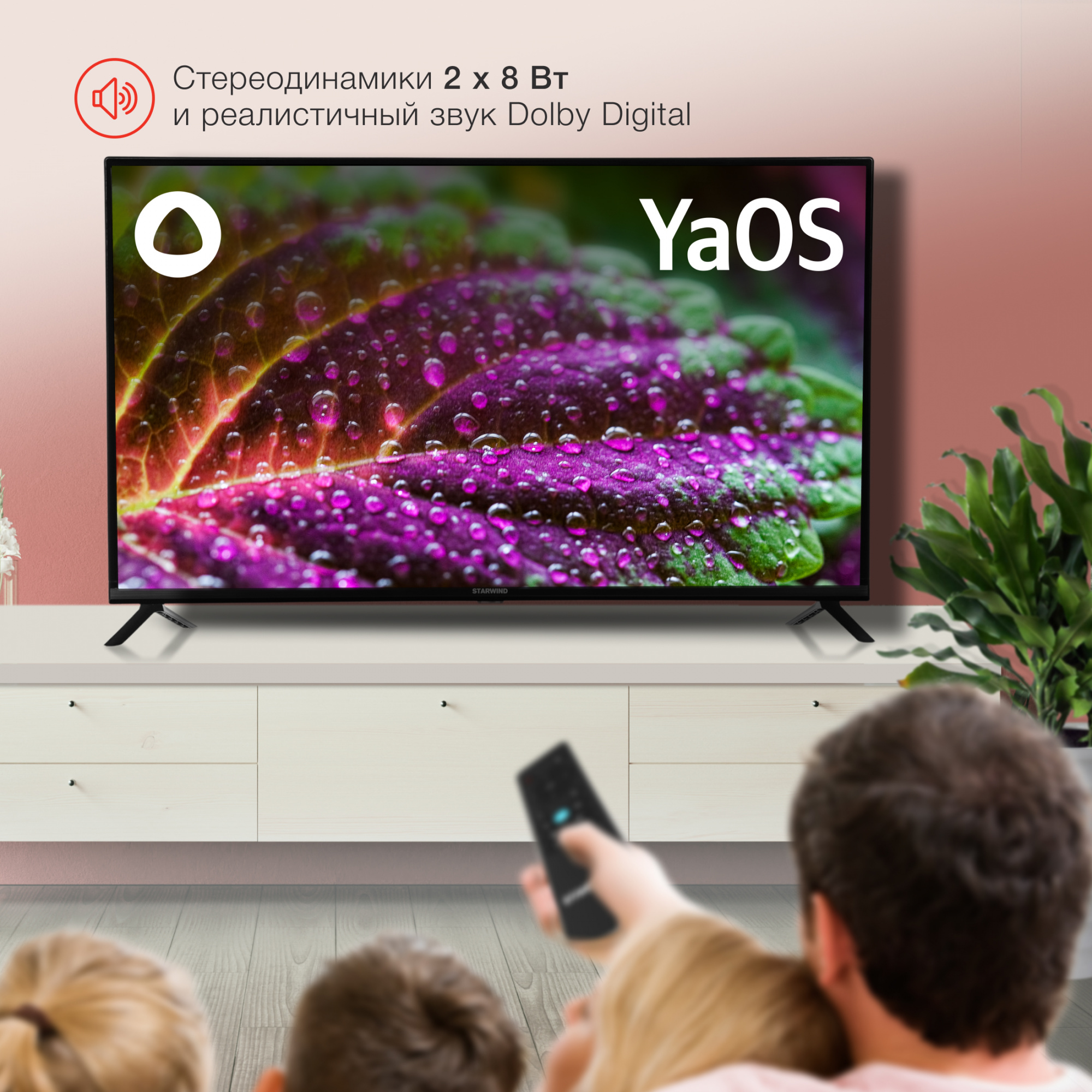 Телевизор Starwind Яндекс.ТВ SW-LED43SG302, 43", DLED, FULL HD, черный от магазина Старвинд